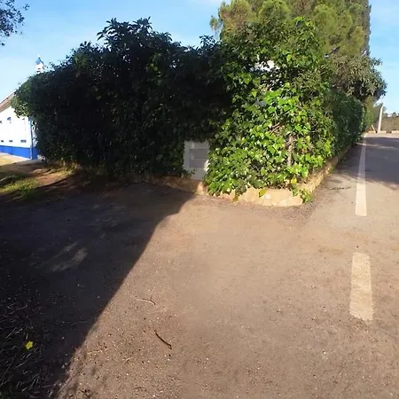 A Casa Dos Avos *