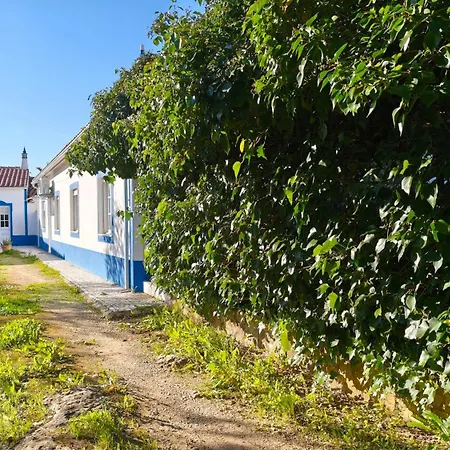 A Casa Dos Avos *